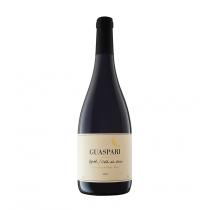 GUASPARI SYRAH - VISTA DA SERRA 2020