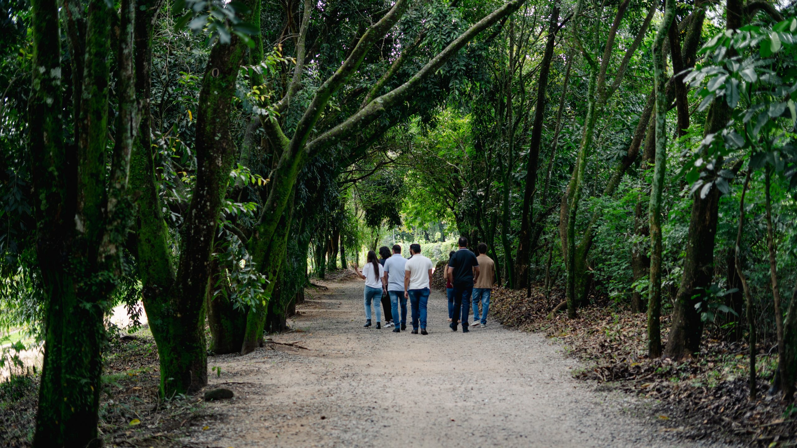 Enoturismo em Espírito Santo do Pinhal