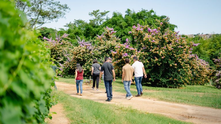 O que fazer em Espírito Santo do Pinhal, a terra do café e do vinho