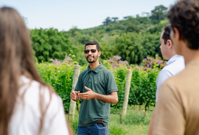 Rotas do Vinho de São Paulo: Um incentivo ao enoturismo